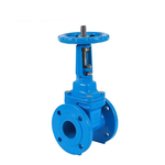 Rising Stem Gate Valve