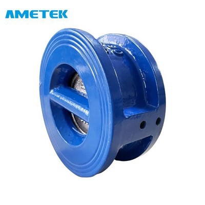 Check Valve Butterfly Type