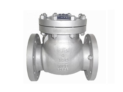 Ss Swing Check Valve