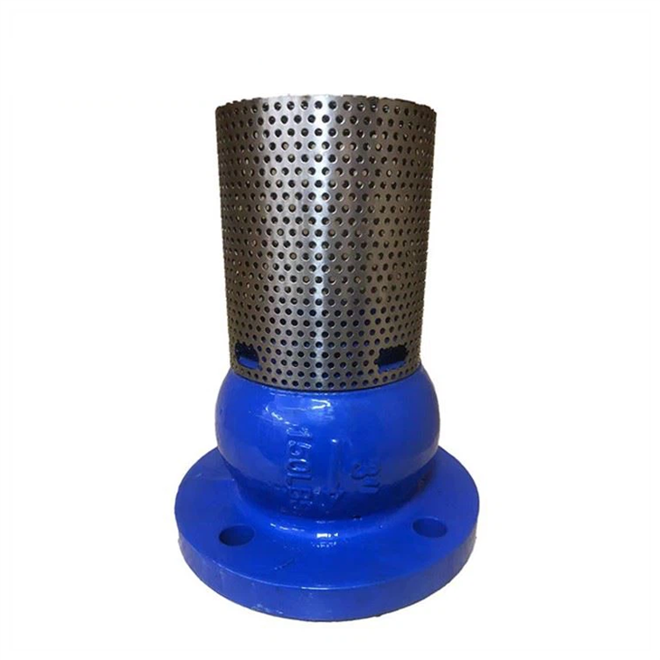 Flanged Foot Valve