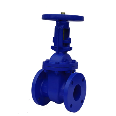 Cast Iron Rising Stem Gate Valve