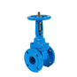 Rising Stem Gate Valve